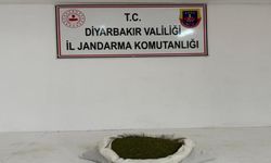 Diyarbakır’da 23 kilo esrar ele geçirildi