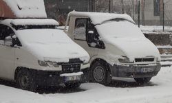 Ahlat’ta mart karı sürprizi: 11 köy yolu ulaşıma kapandı