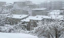 Hakkari’de karla karışık yağmur yağışı