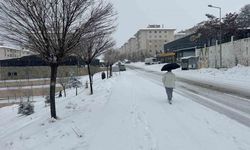 Van’da mart ayı kapıdan baktırdı: Kar yağışı ulaşımı durdurdu