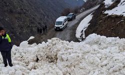 Çatak’ta çığ düştü: 1 mahalle ve 8 mezraya ulaşımı sağlanamıyor