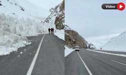 Hakkari-Van karayolunda çığ: Ulaşım durdu