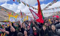Şemdinli’de Newroz coşkuyla kutlandı