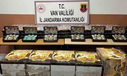 Van’da gümrük kaçakçılığı operasyonu