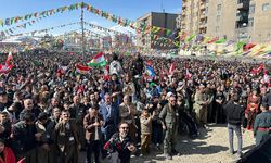 Yüksekova’da Newroz  binlerin katılımı ile kutlandı