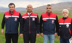 Siirt’te yağışlar yüzde 150 arttı, tarımsal hasıla beklentisi yükseldi