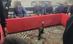 Siirt’te horoz dövüşüne suçüstü operasyon: 60 kişi yakalandı