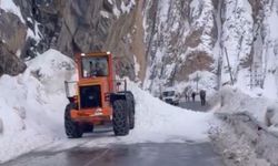 Çığ tehlikesi: Yüksekova ve Şemdinli'de 2 yol kapatıldı!