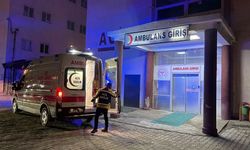 Hakkari'de 5 Çocuk annesi ölü bulundu!