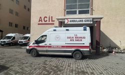 Hakkari'de Kavga: 1 Yaralı