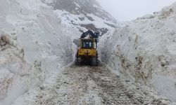 Hakkari’de 56 Yerleşim Yerinin Yolu Ulaşıma Kapandı