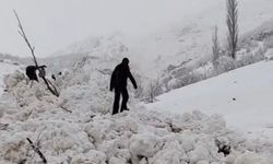 Yeşiltaş köyüne ikinci kez çığ düştü: 4 ev tahliye edildi