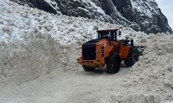 Yüksekova -Dağlıca kara yoluna çığ düştü