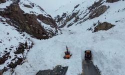 Van-Hakkari yolu yeniden ulaşıma açıldı