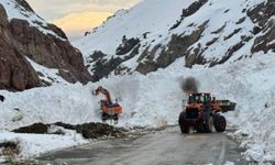 Van-Hakkari yolu yeniden ulaşıma açıldı