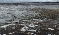 Göle Dönen Nehil Sazlığı Havadan görüntülendi