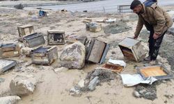 Hakkari’de selde 150 kovan zarar gördü