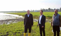 Bayraktar: "Üreticilerimize muhakkak nakdi yardım yapılması gerekiyor"