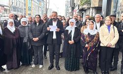 Yüksekova’da DEM Parti’den Newroz sonrası  gözaltılarıyla ilgili açıklama