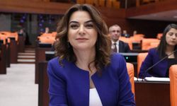 DEM Parti'li Koçyiğit: Süreçte tek bir insan toprağa düşmedi