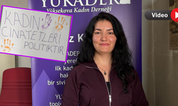 Yüksekova Kadın Derneği: Kadına yönelik şiddet artıyor