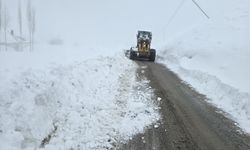 Hakkari’de Kar Yağışı Ulaşımı Olumsuz Etkiledi