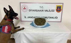 Diyarbakır’da 23 kilo esrar ele geçirildi