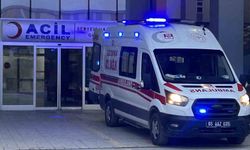 Van'da köpeklerin saldırdığı çocuk hayatını kaybetti