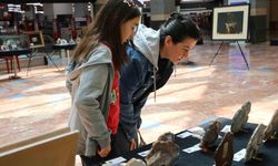 "İl İl Türkiye Sergisi" Diyarbakır’da sanatseverlerle buluştu