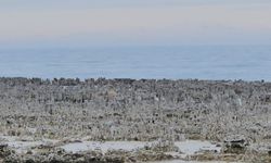 Van Gölü’nde kuraklık alarmı: Adilcevaz sahilinde mikrobiyalitler gün yüzüne çıktı