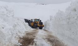 Hakkari’de 19 Köy ve 39 Mezra yolu ulaşıma kapandı