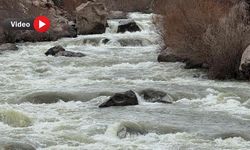 Baharın Gelişiyle Zap Suyunun Debisi arttı