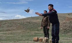 Kars’ta kaçak avcılara darbe: 51 canlı keklik doğaya kazandırıldı