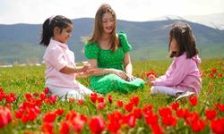 Muş lalesi ovayı kırmızıya boyadı