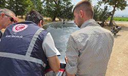 Ticaret Bakanlığı’ndan biber görüntülerine yalanlama