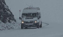 Van’da iki mevsim bir arada: Bir yanda bahar, diğer yanda kış