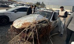 Kontrolden çıkarak devrilen otomobilin sürücüsü öldü