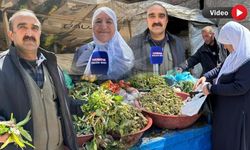 Yüksekova’da Baharın Bereketi Tezgahlara Yansıdı: Doğal Otlar Hem Şifa Hem Geçim Kaynağı
