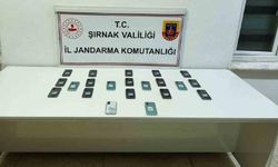 Şırnak’ta jandarma ekiplerinden 20 milyonluk kaçakçılık operasyonu