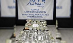 Yüksekova’da uyuşturucu operasyonu: 64,5 Kilo Skunk Ele Geçirildi