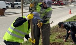Yüksekova’da Yeşillendirme Çalışmaları Sürüyor