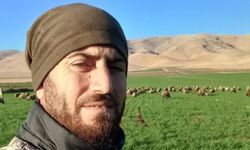 Mardin’de çoban silahlı saldırıda hayatını kaybetti