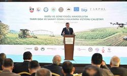 Yılmaz: "Coğrafyamızın da avantajlarını kullanacağız"