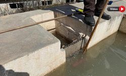 Hakkari'de Su Projesi, 4 Ailenin Geçim Kaynağını Yok Etti