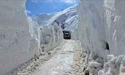 Meteoroloji'den Hakkari için Çığ Uyarısı