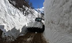 Yüksekova’da karla mücadele bahar ayında da sürüyor