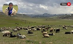 Çoban Ömer’in geçim mücadelesi: “Tek isteğim çocuklarımın okuması”