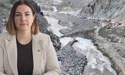 CHP’li Çakırbeyli’den Hakkâri’nin Kurtuluş Yıl Dönümünde Dikkat Çeken Mesaj