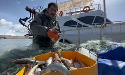 Van Gölü’nde inci kefali için av yasağı: Kaçak avlanmanın cezası 16 bin TL