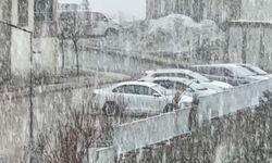 Yüksekova’da kar ve sis etkili oldu: Görüş mesafesi 20 metreye düştü